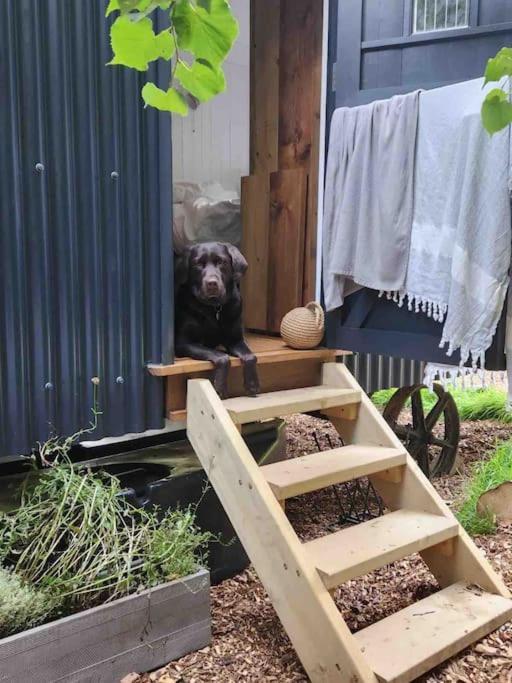 Cornwall Woodland Shepherd'S Hut Deirdres Hut Bodmin Exterior photo