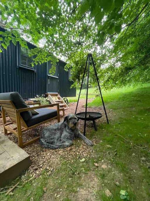 Cornwall Woodland Shepherd'S Hut Deirdres Hut Bodmin Exterior photo